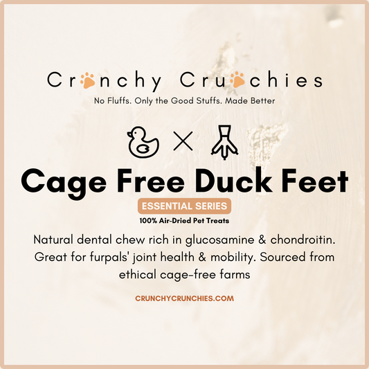 Cage-Free Duck Feet (8pc)