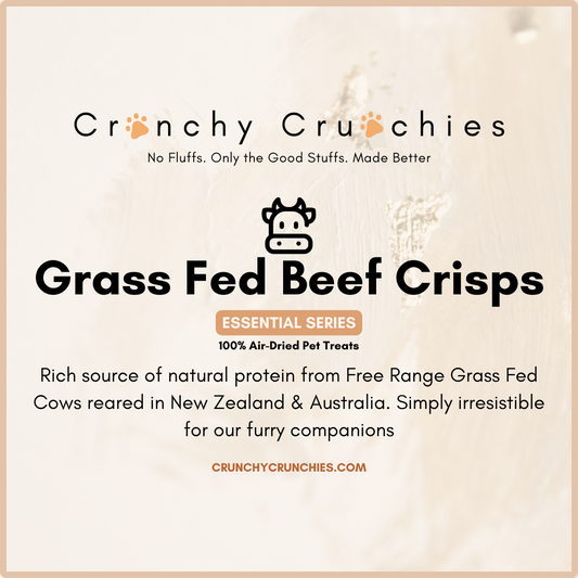 Grass-Fed Beef Crisps [Free Range, Pasture Fed]