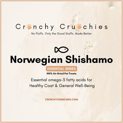 Norwegian Capeline (Shishamo)