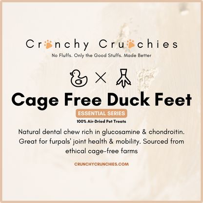 Cage-Free Duck Feet (8pc)