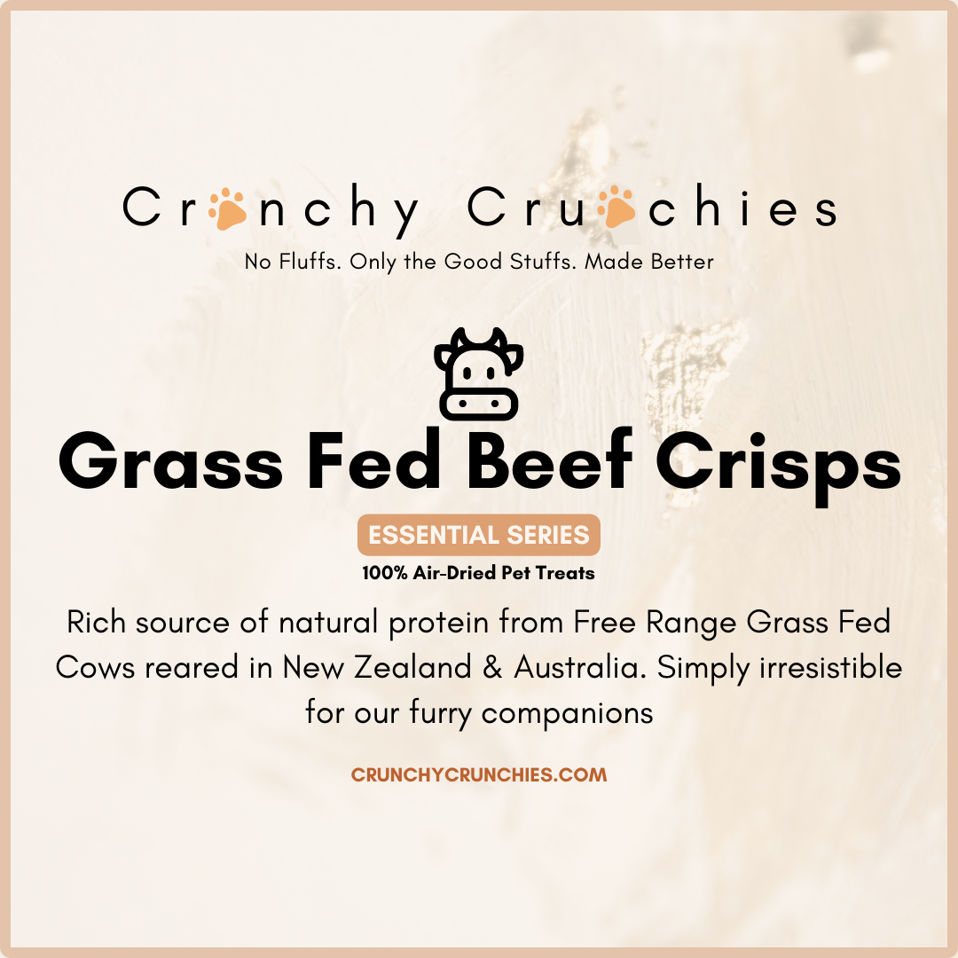 Grass-Fed Beef Crisps [Free Range, Pasture Fed]