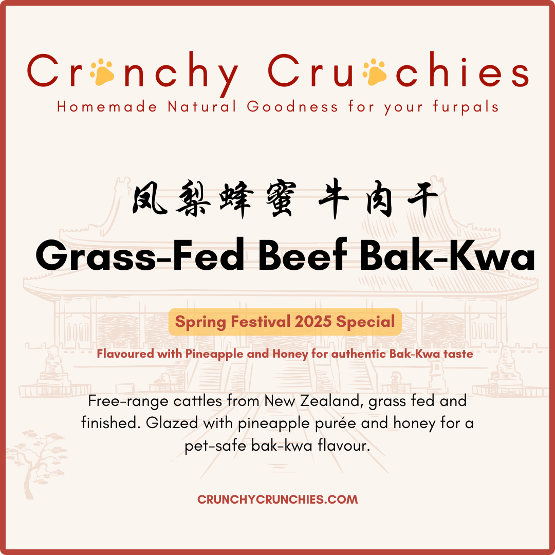 Grass-Fed Beef Ba Kwa [Lunar New Year Seasonal]